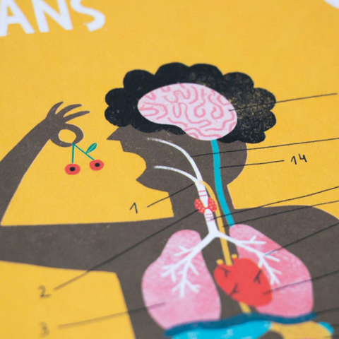 Londji Learn & Fun Inside Me - Öğren ve Eğlen Vücudum